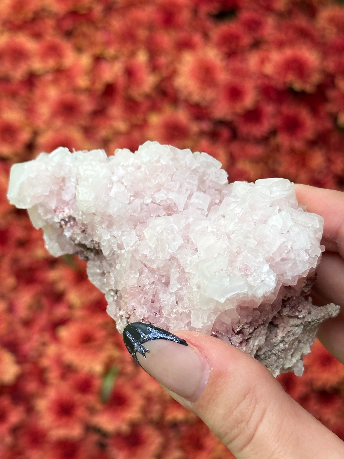 Pink Halite