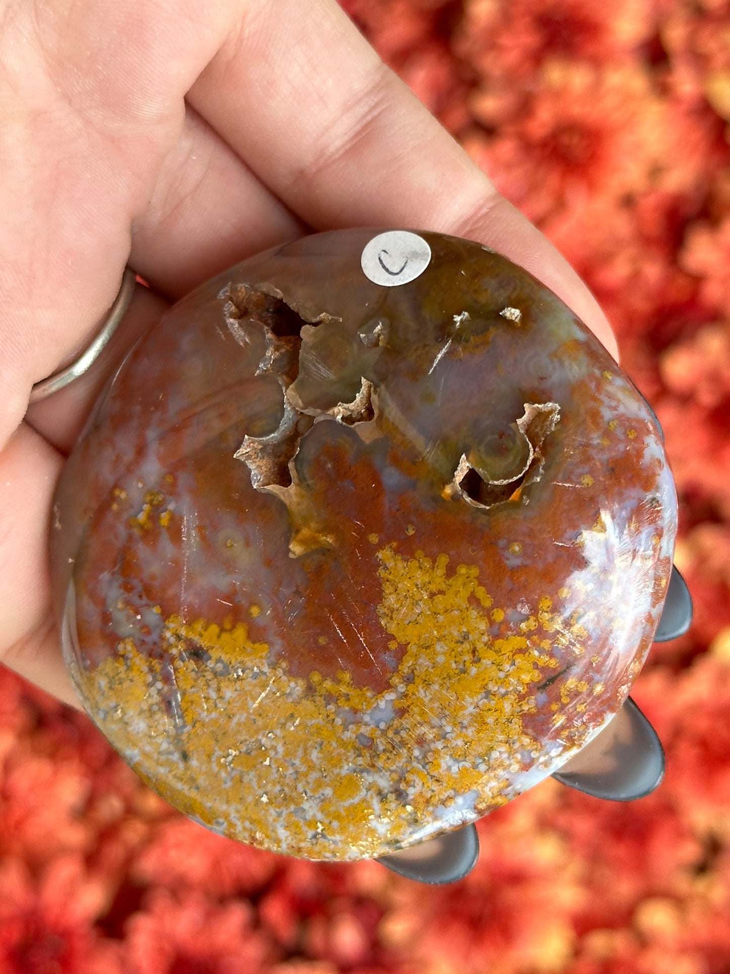 Ocean Jasper Palmstone- 8th Vein