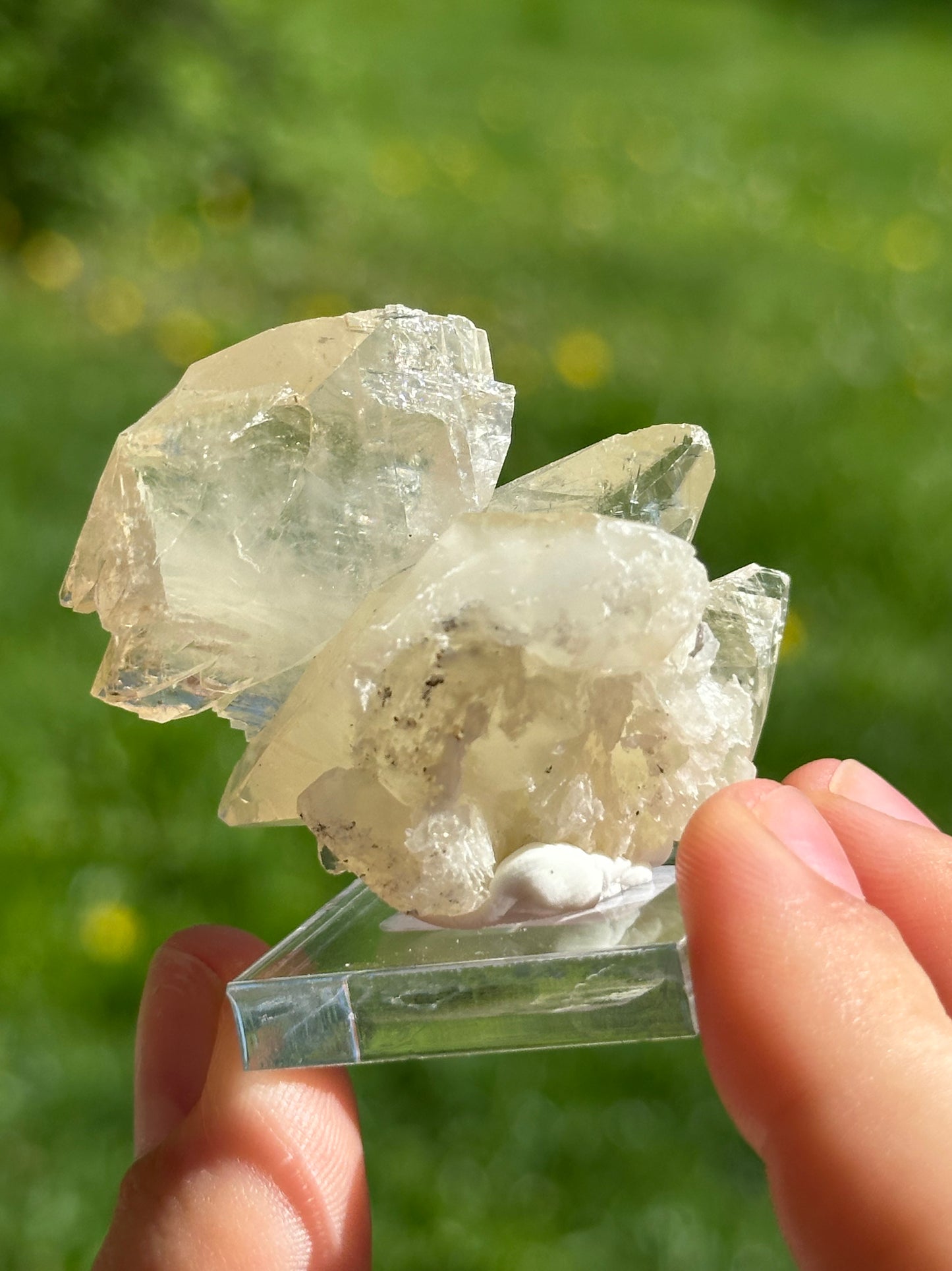 Elmwood calcite