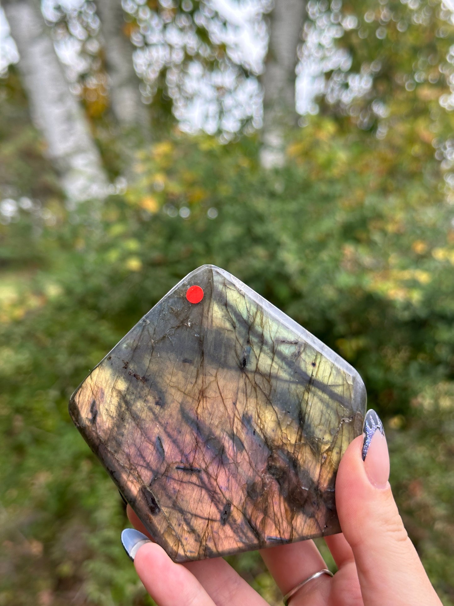 Labradorite Freeform
