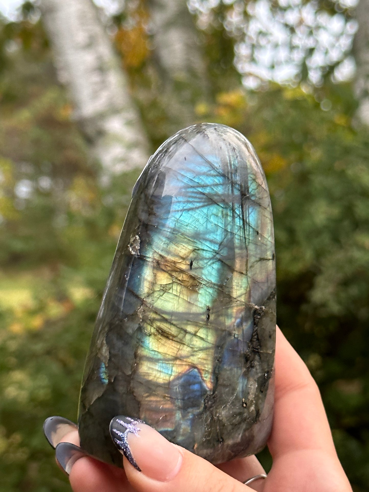 Labradorite Freeform