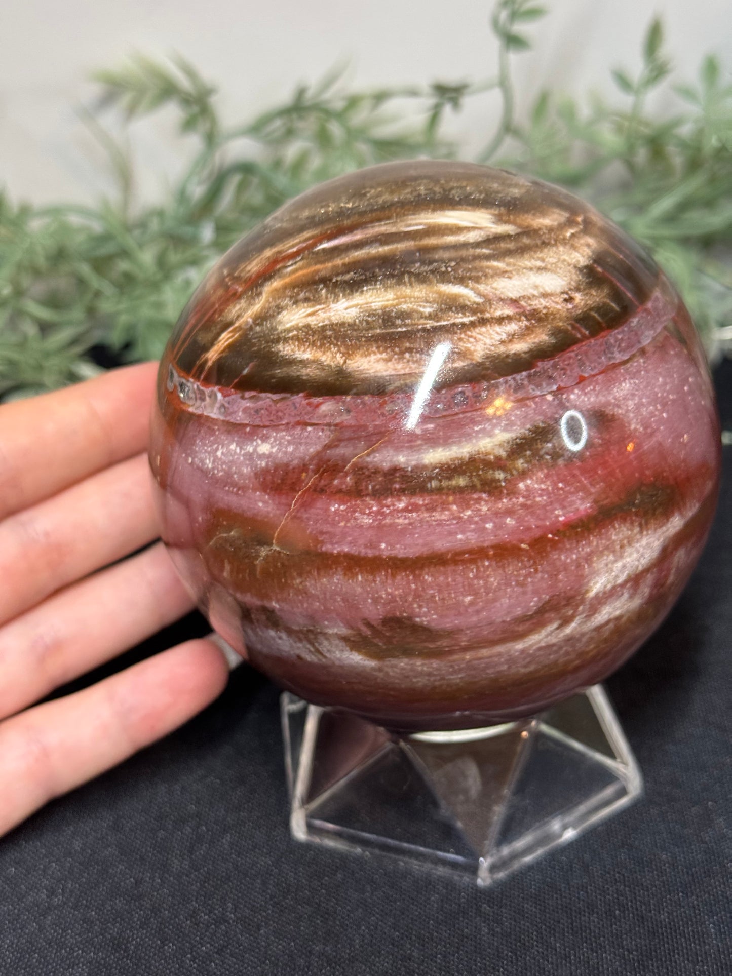 XL pink petrified wood sphere