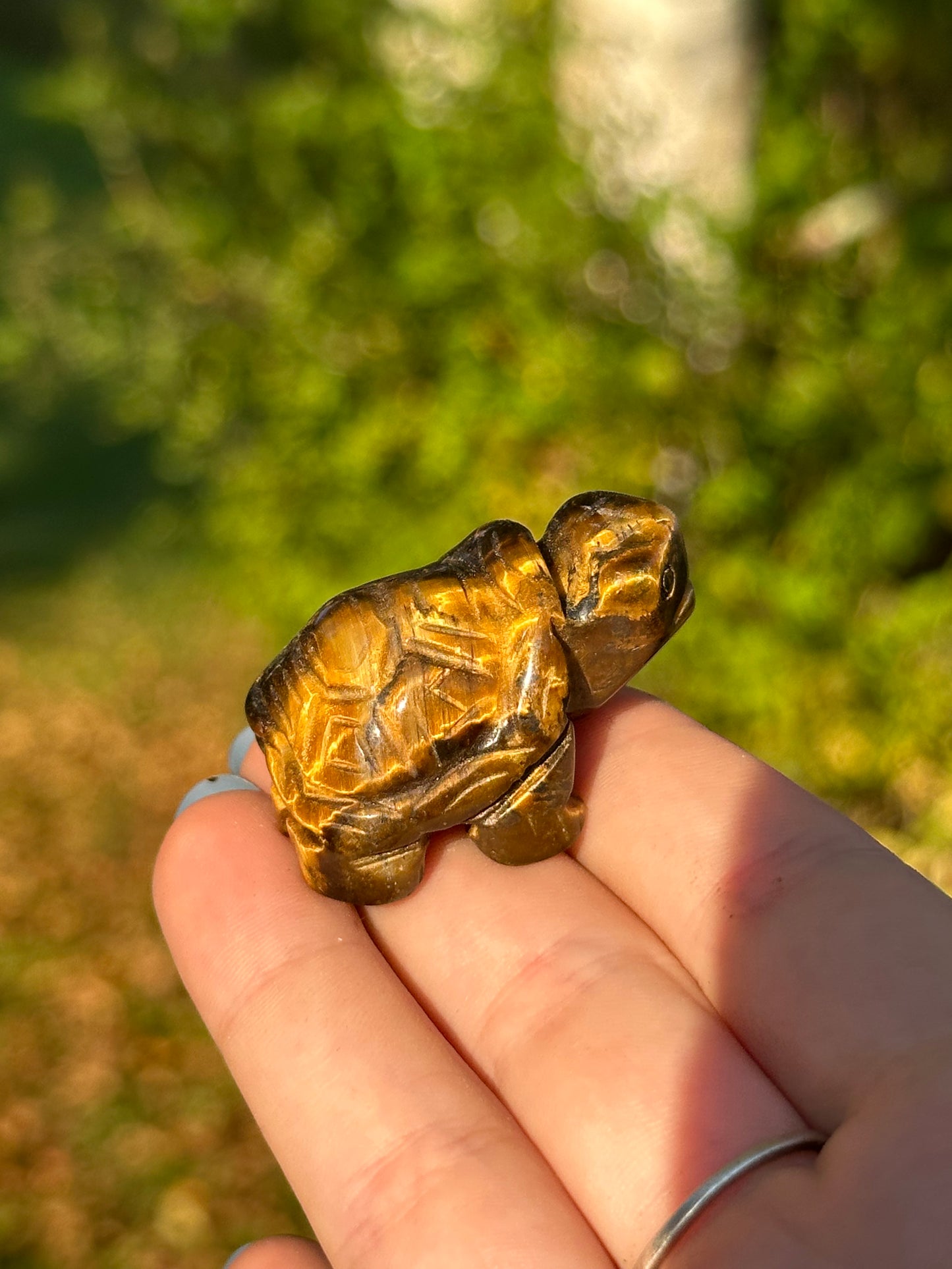 Tiger's Eye Turtle