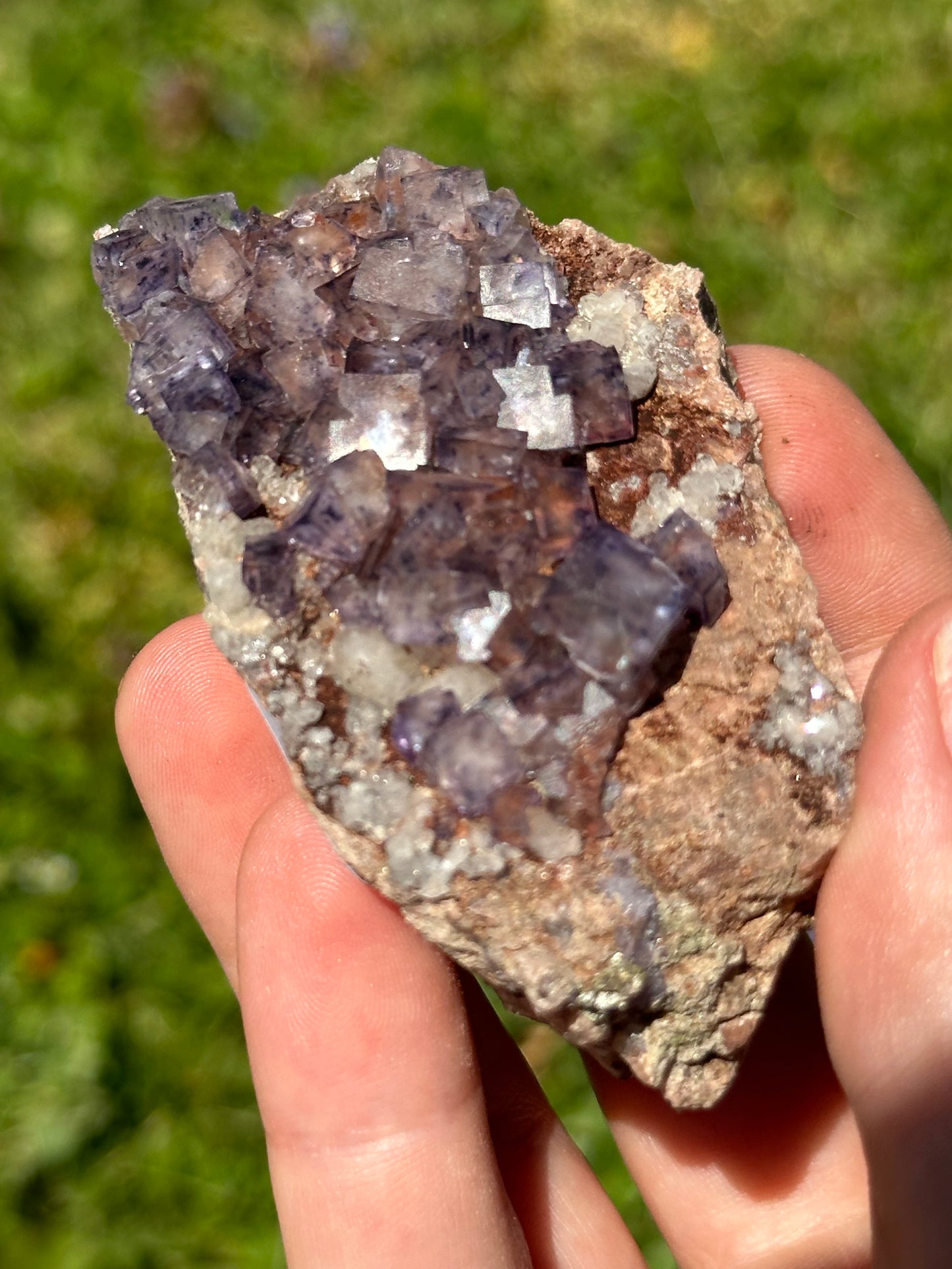 Colorado fluorite