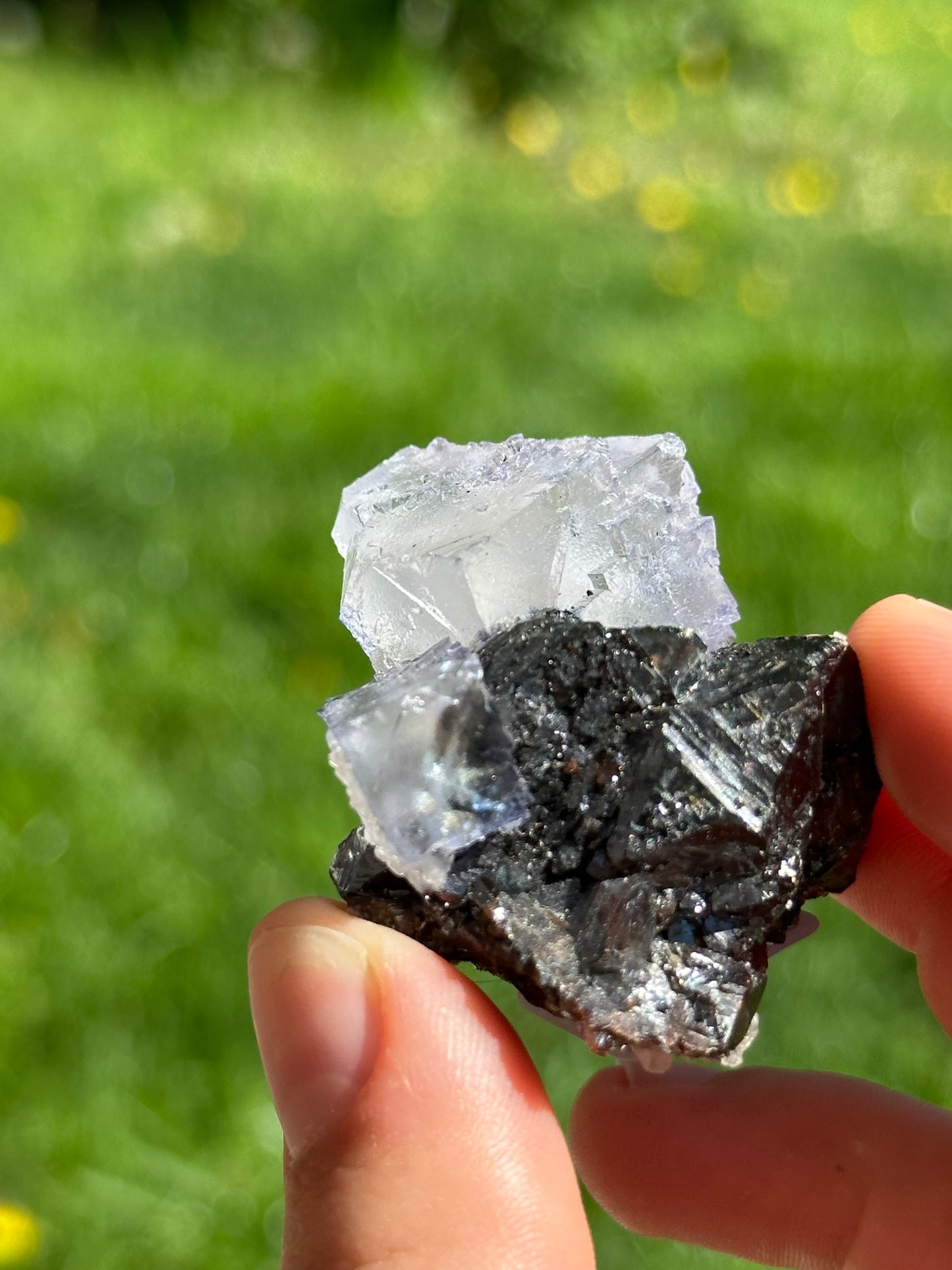 Elmwood fluorite on sphalerite