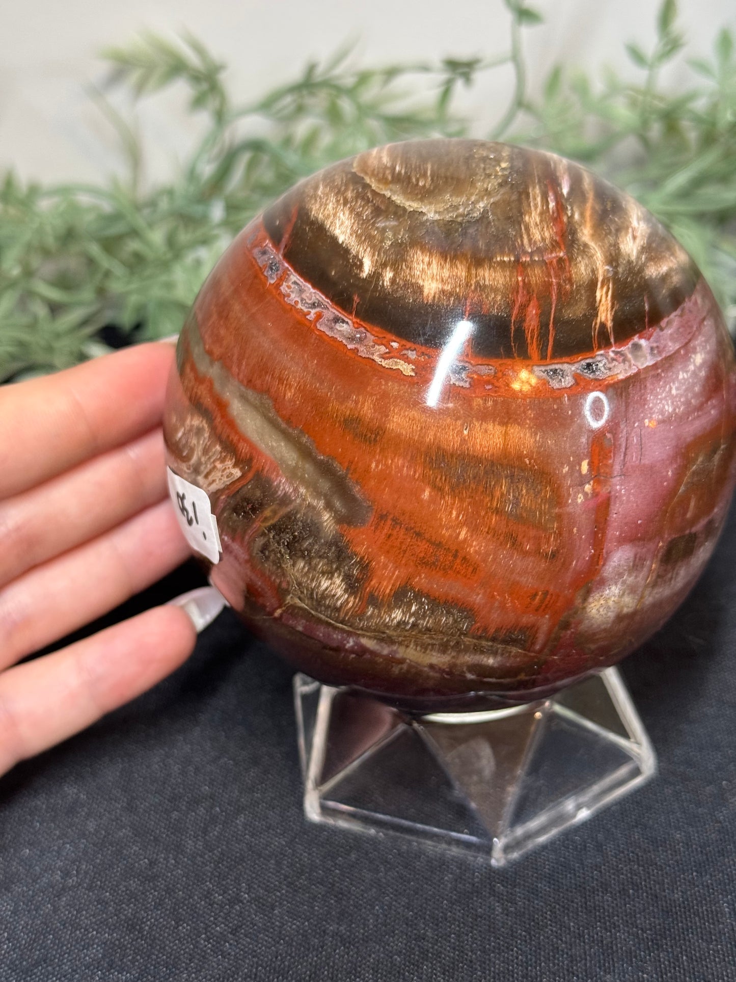 XL pink petrified wood sphere