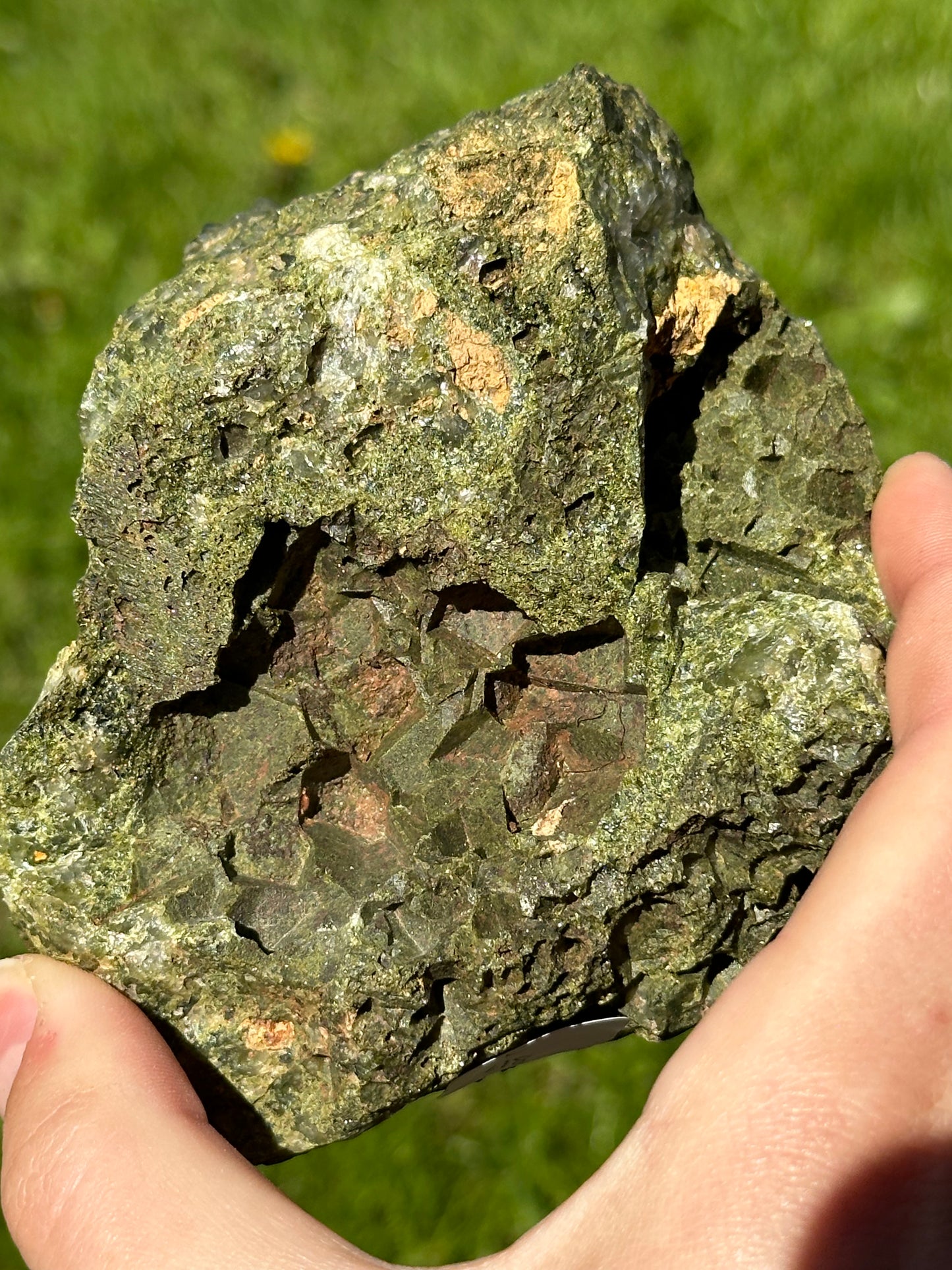 Forest epidote