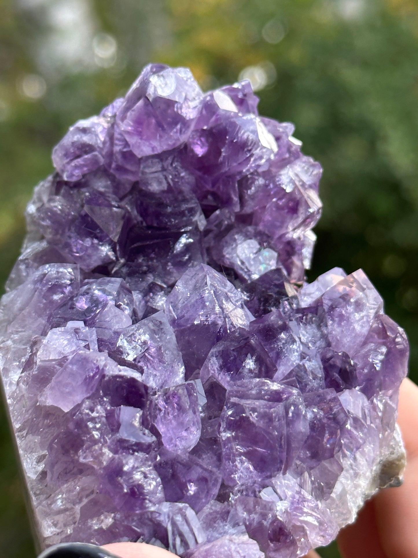 Amethyst Cut Base