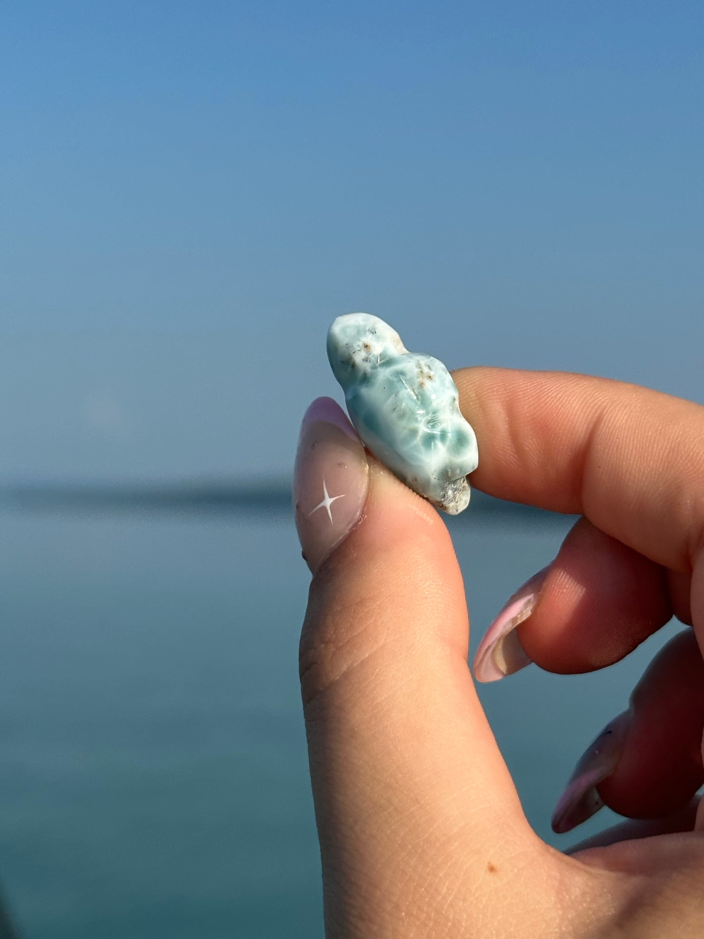 Larimar turtle