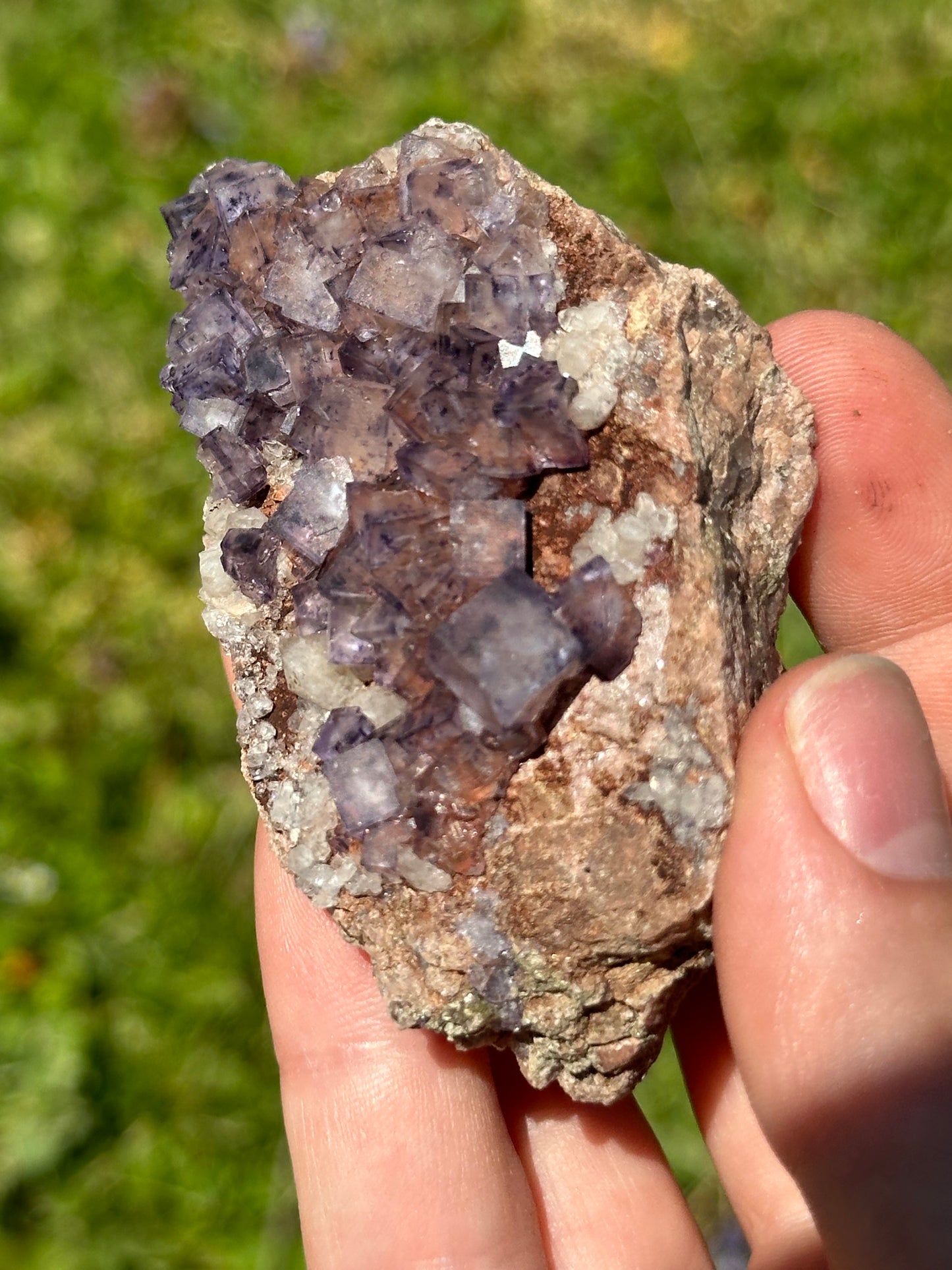 Colorado fluorite