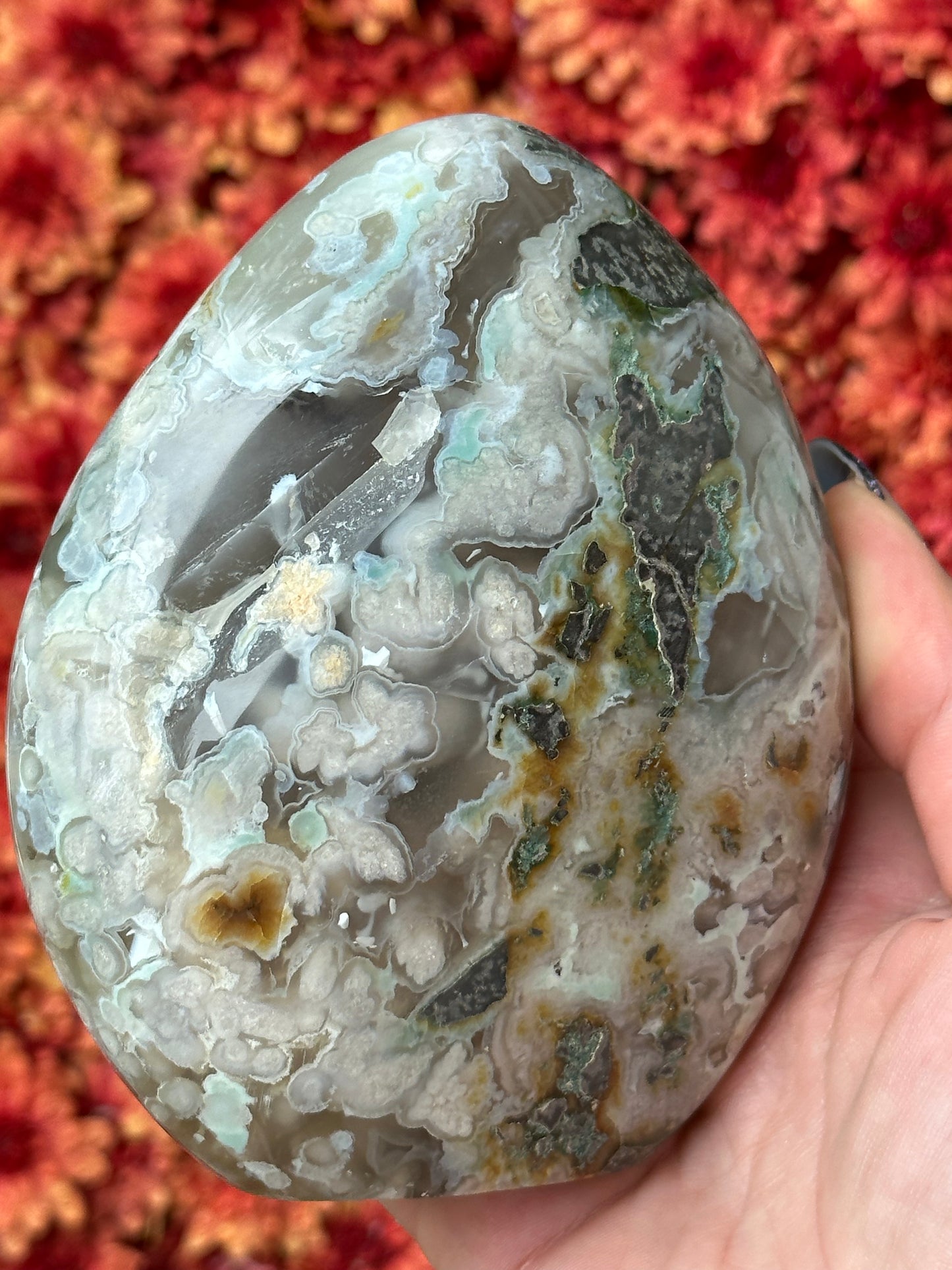 Black Flower Agate Freeform