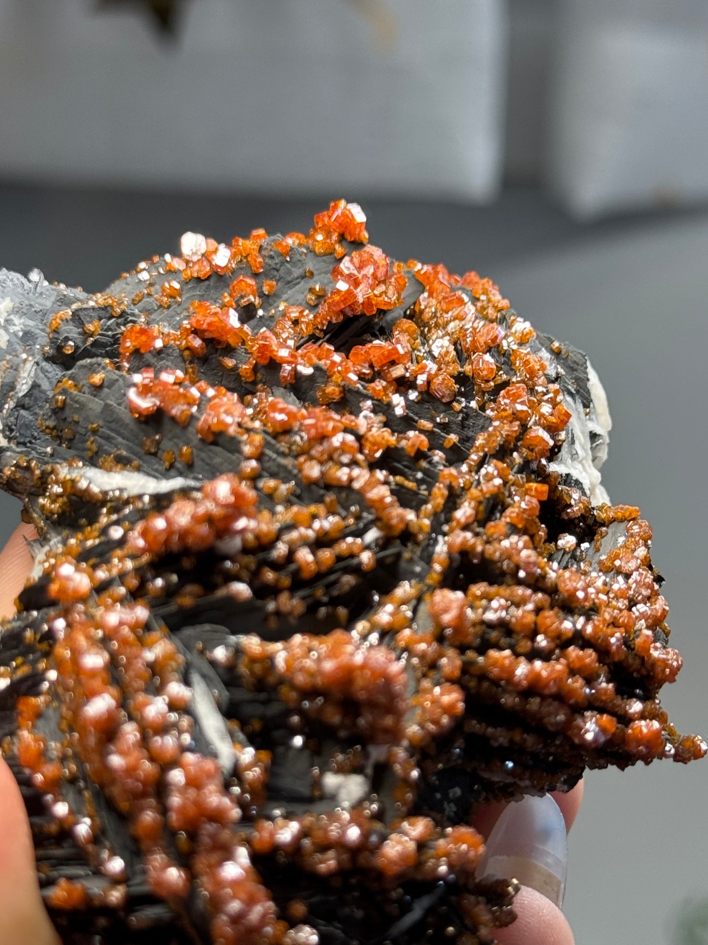 Vanadinite on black barite- Morocco