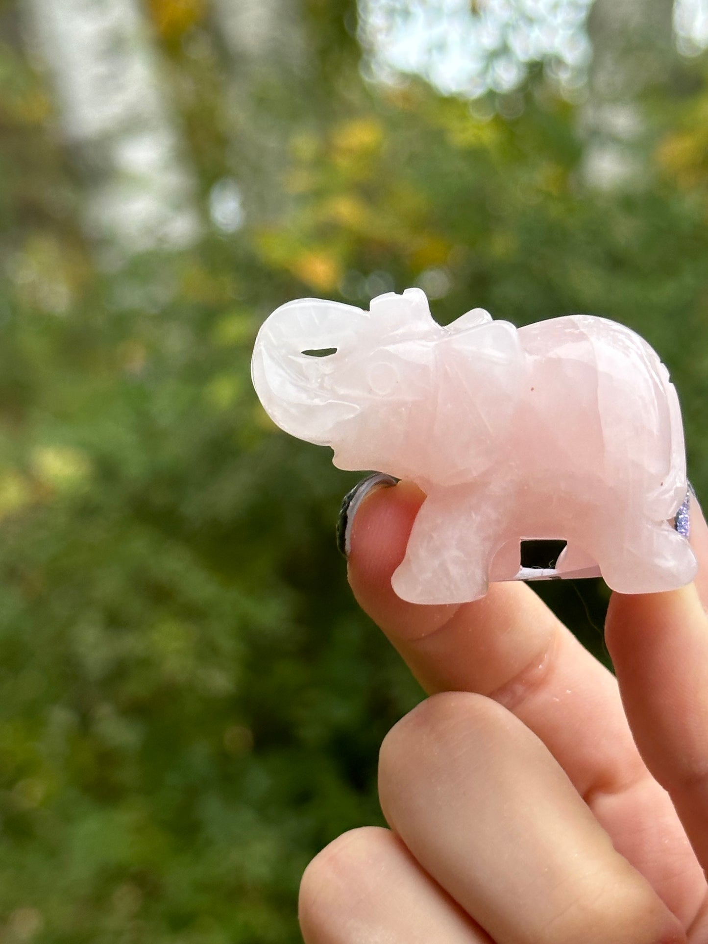 Rose Quart Elephant