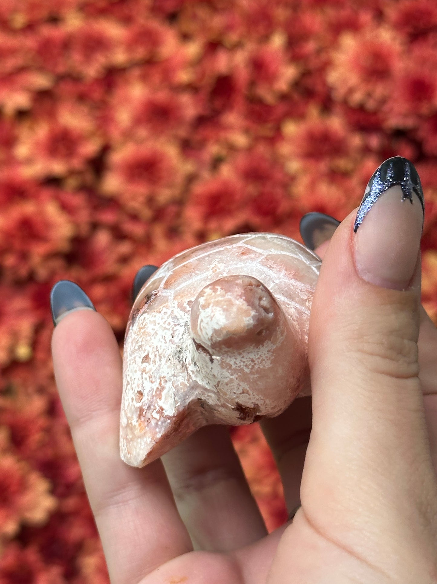 Pink crazy lace agate turtle