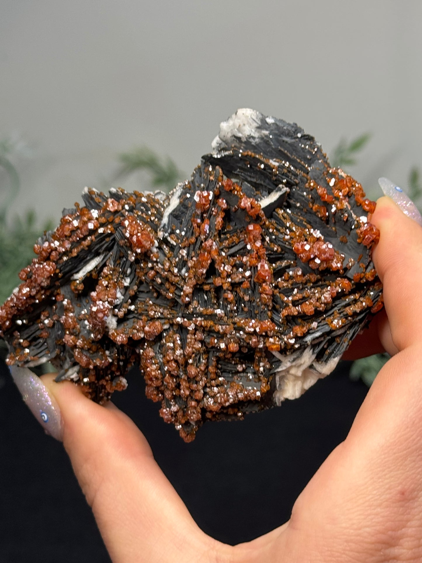 Vanadinite on black barite- Morocco