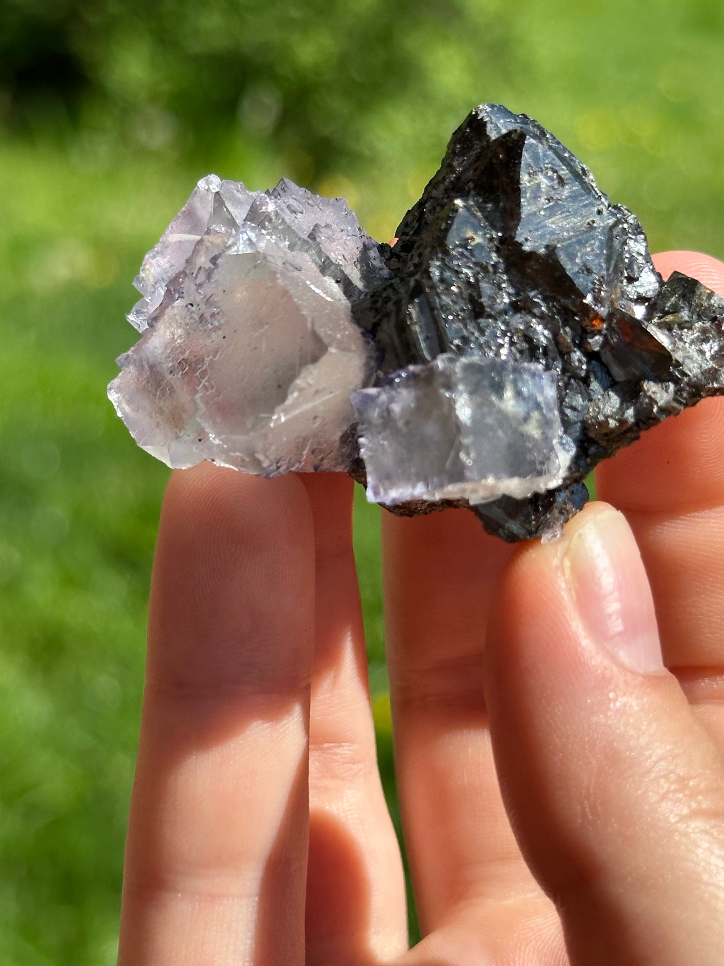 Elmwood fluorite on sphalerite
