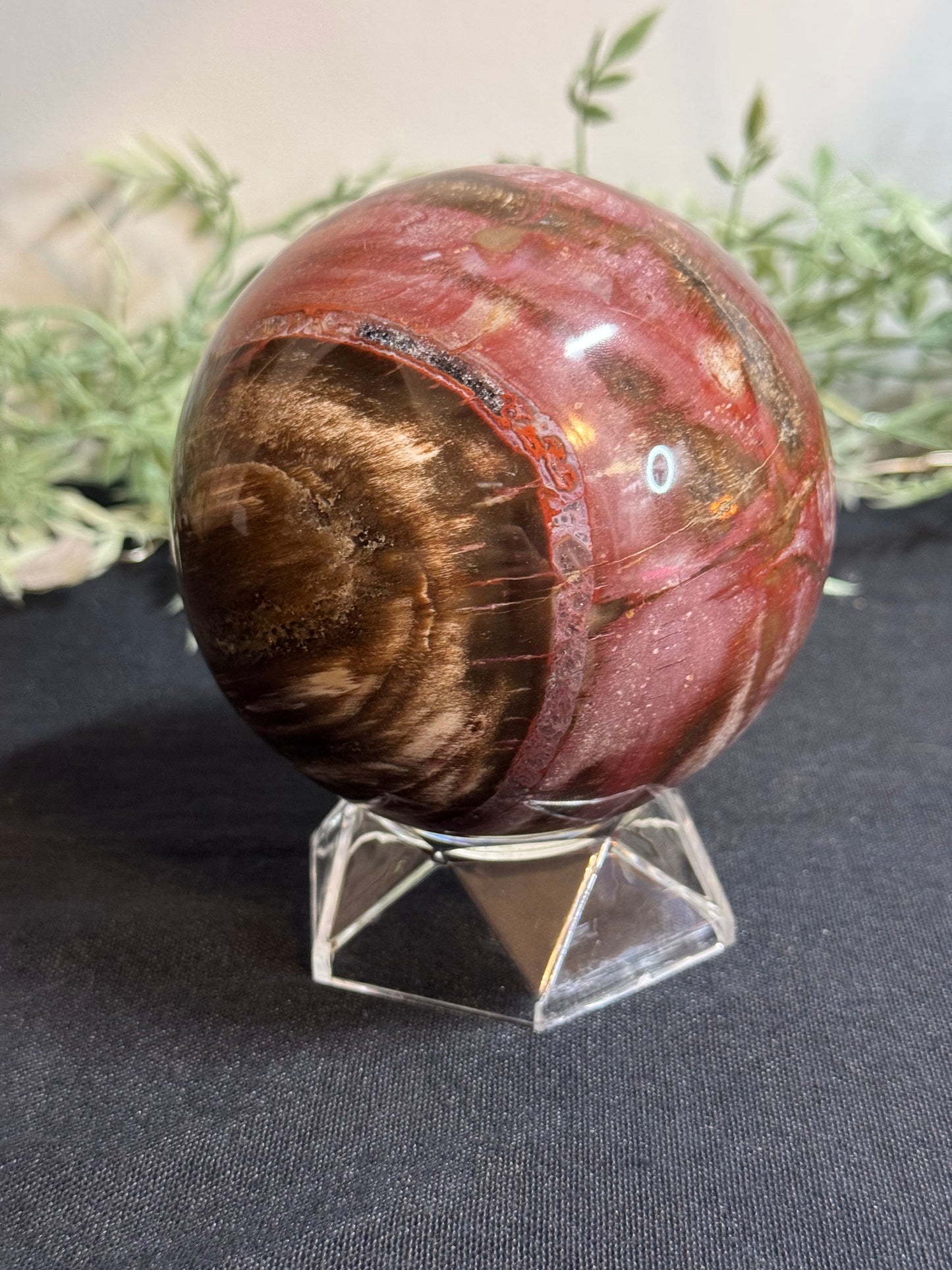 XL pink petrified wood sphere