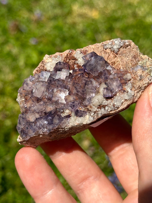 Colorado fluorite