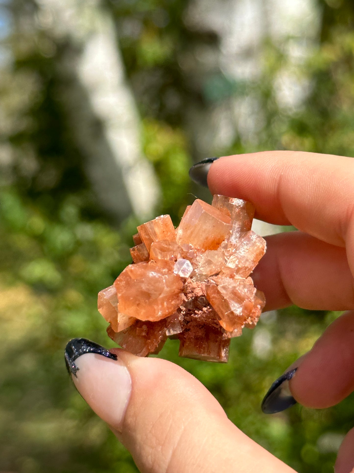 Aragonite