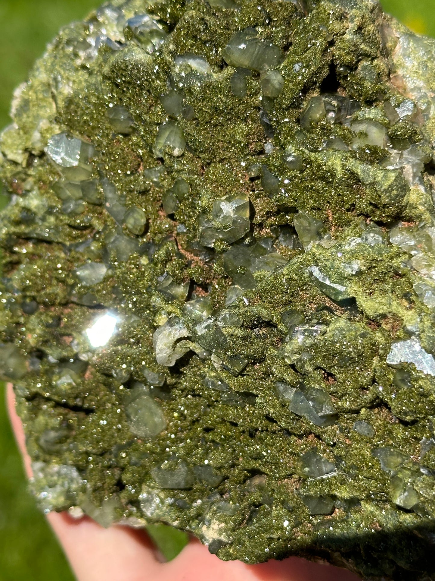 Forest epidote
