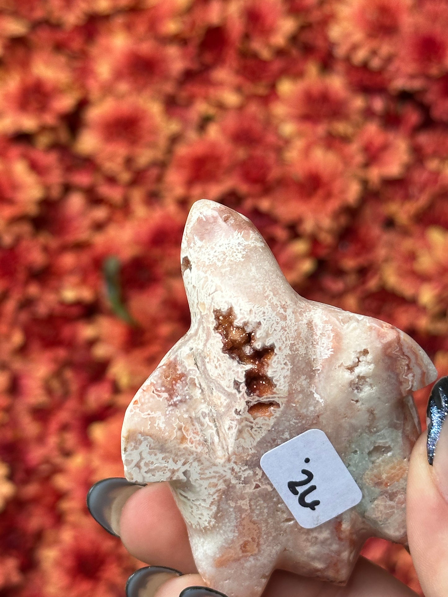 Pink crazy lace agate turtle