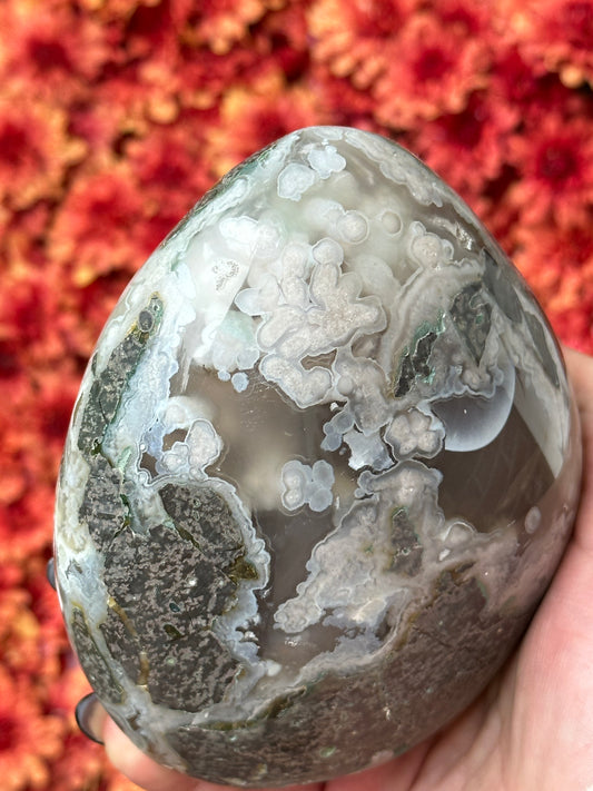 Black Flower Agate Freeform