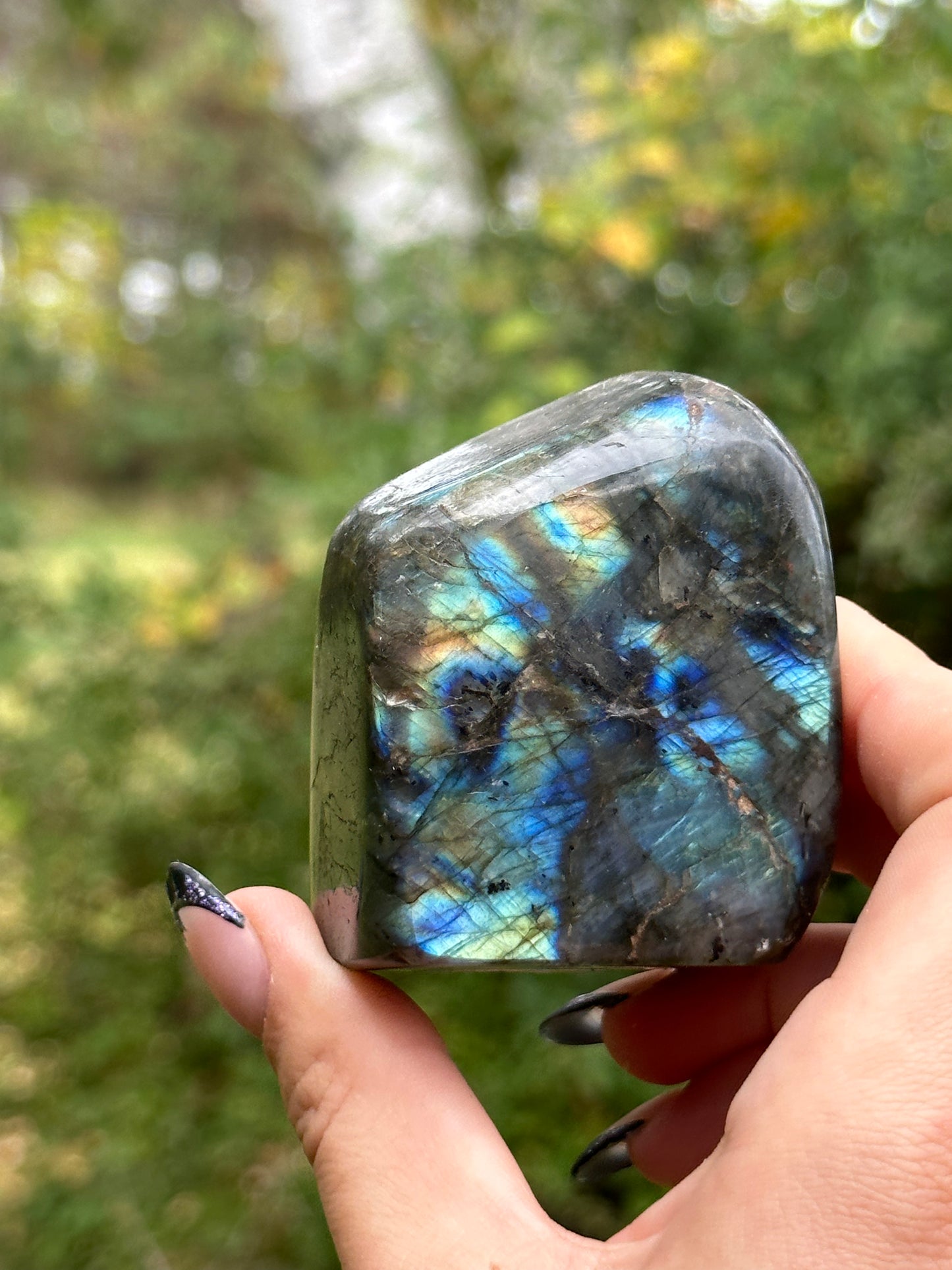 Labradorite Freeform