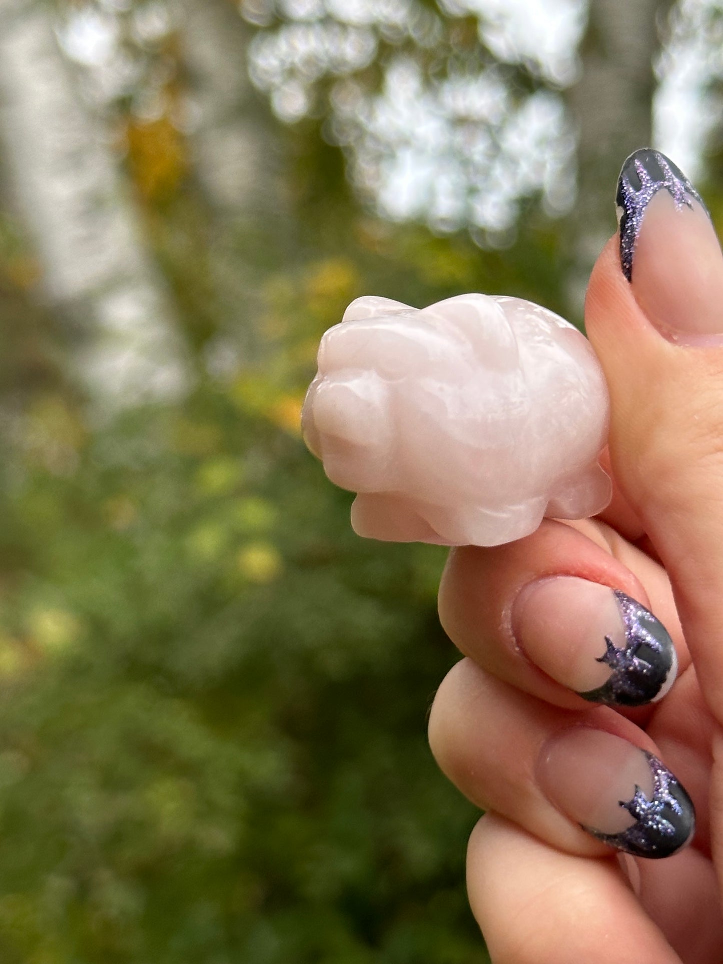 Rose Quartz Mini Pig