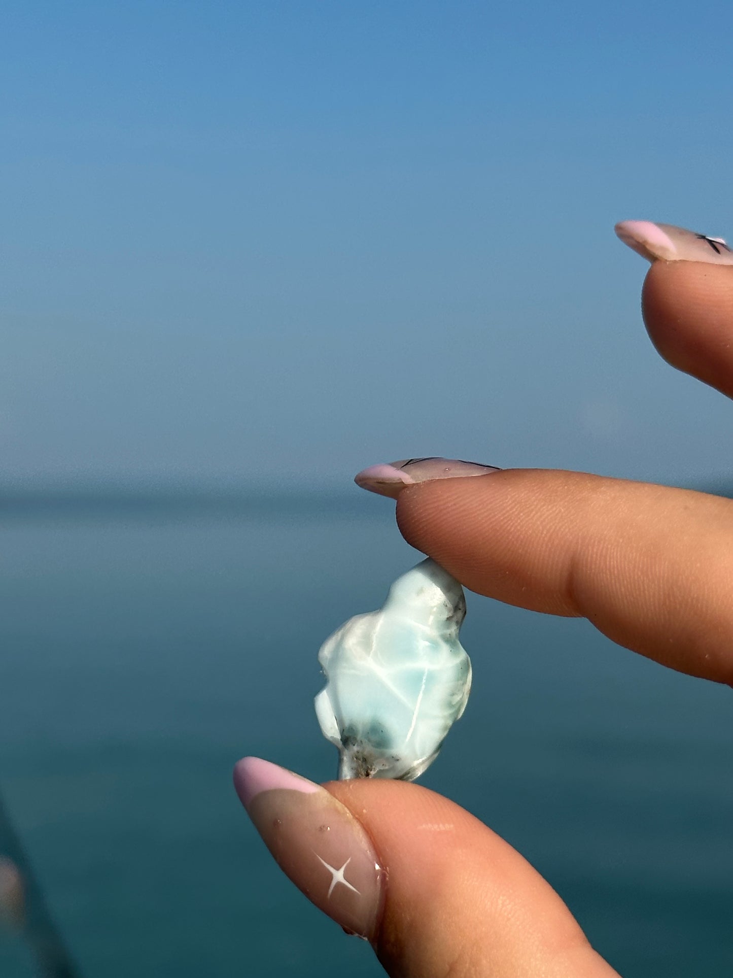 Larimar turtle