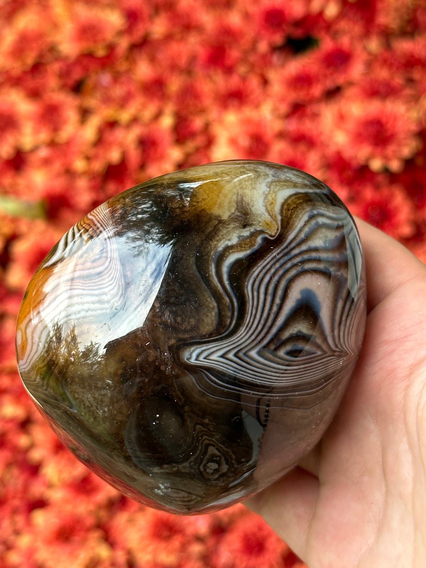 Sardonyx Palmstone