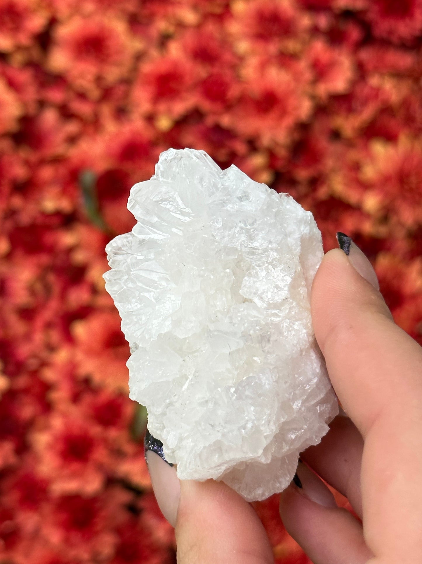 White Aragonite