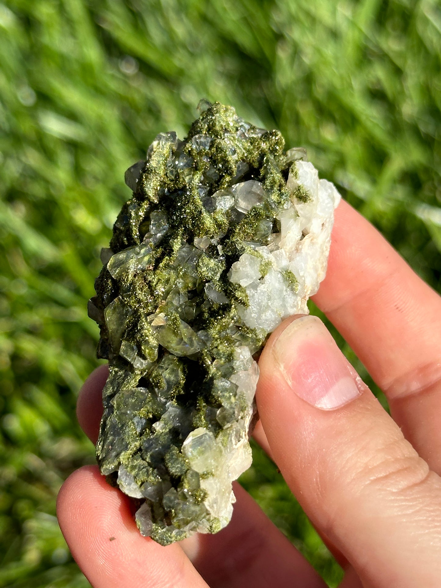 Forest Epidote