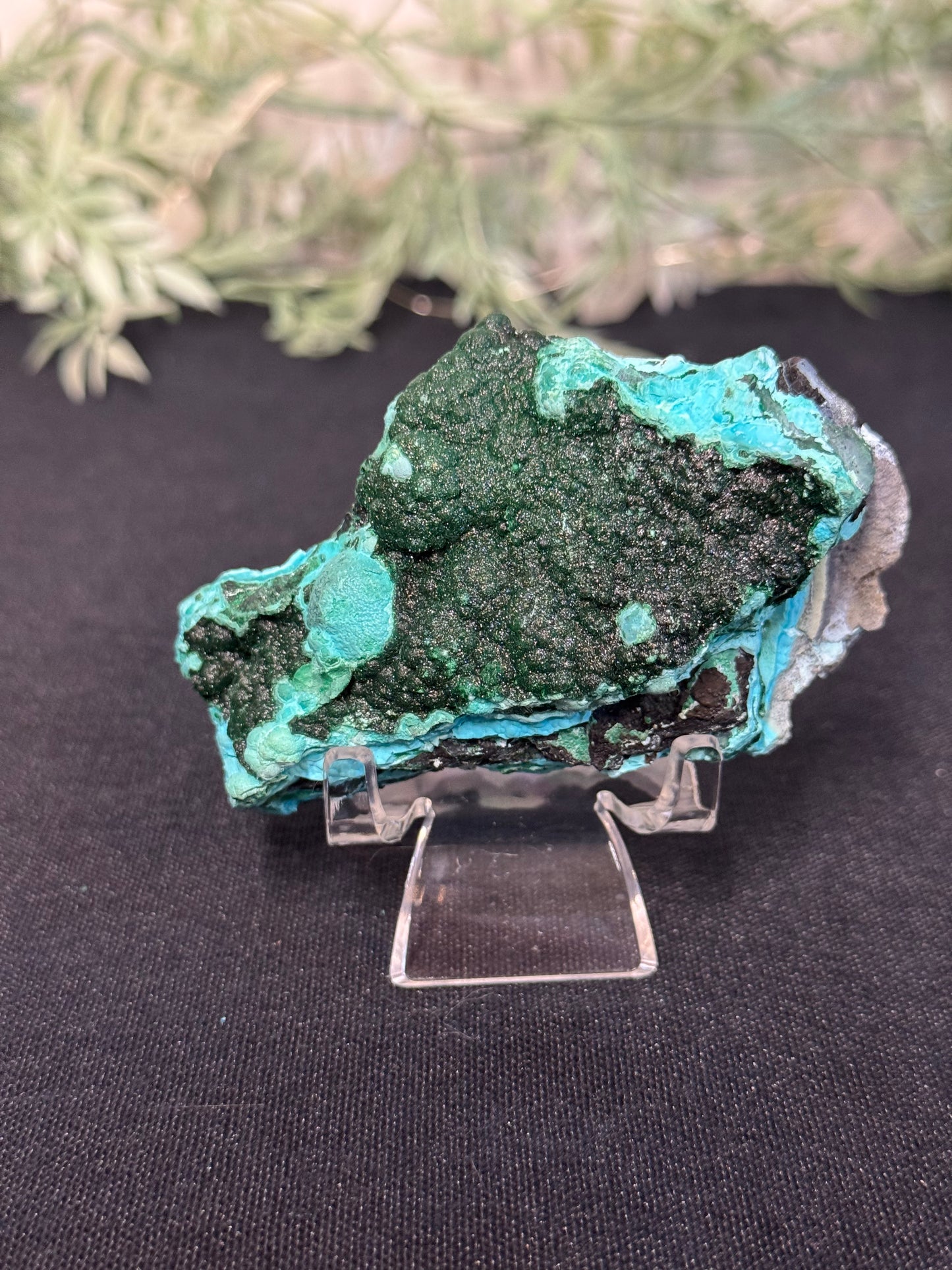 Malachite, Chrysocholla - Zaire
