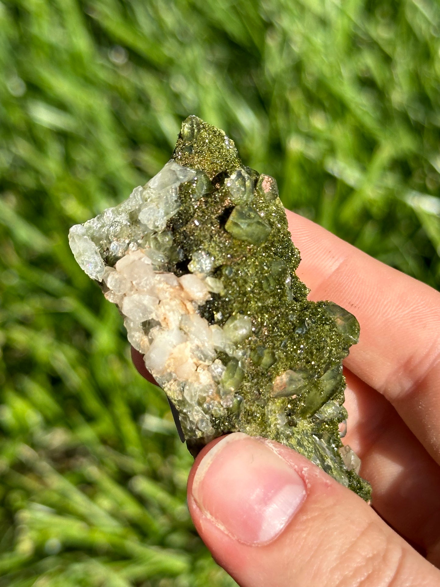 Forest Epidote
