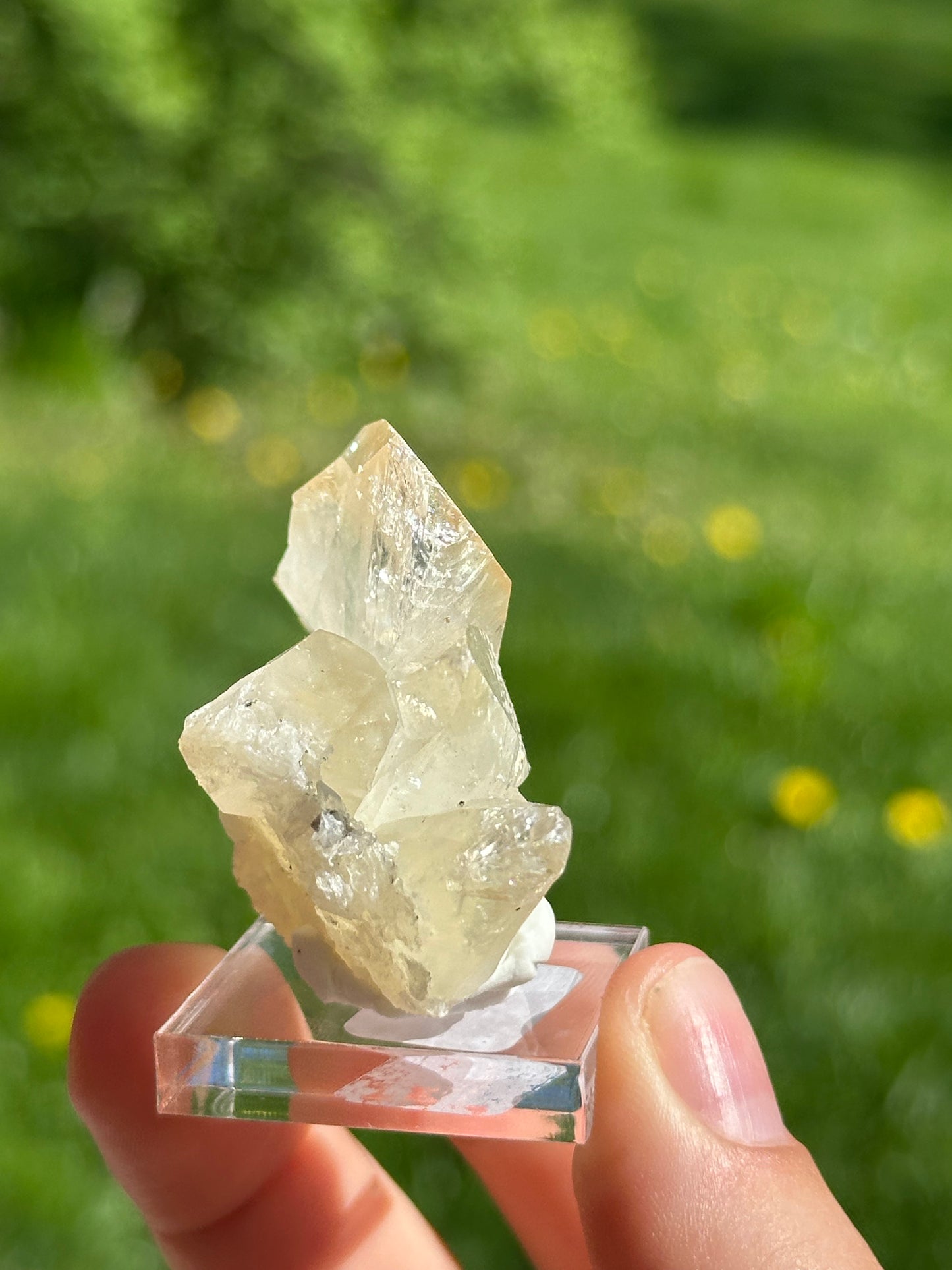 Elmwood calcite