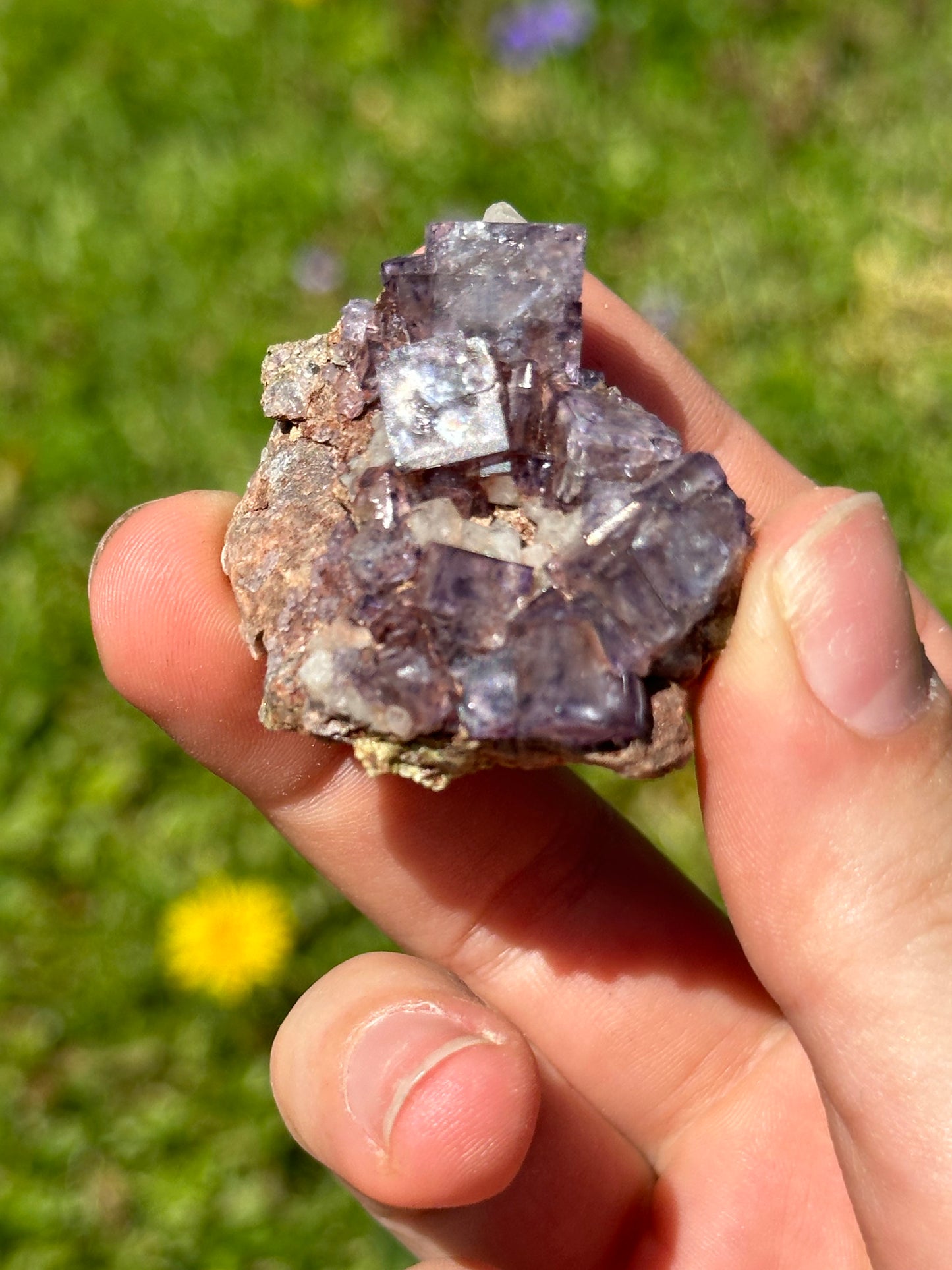 Colorado fluorite