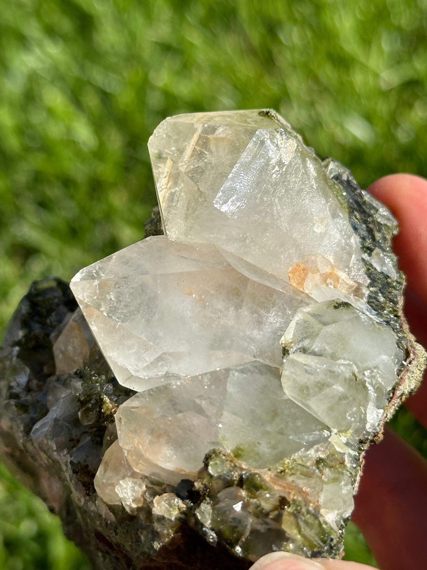 Epidote and Quartz