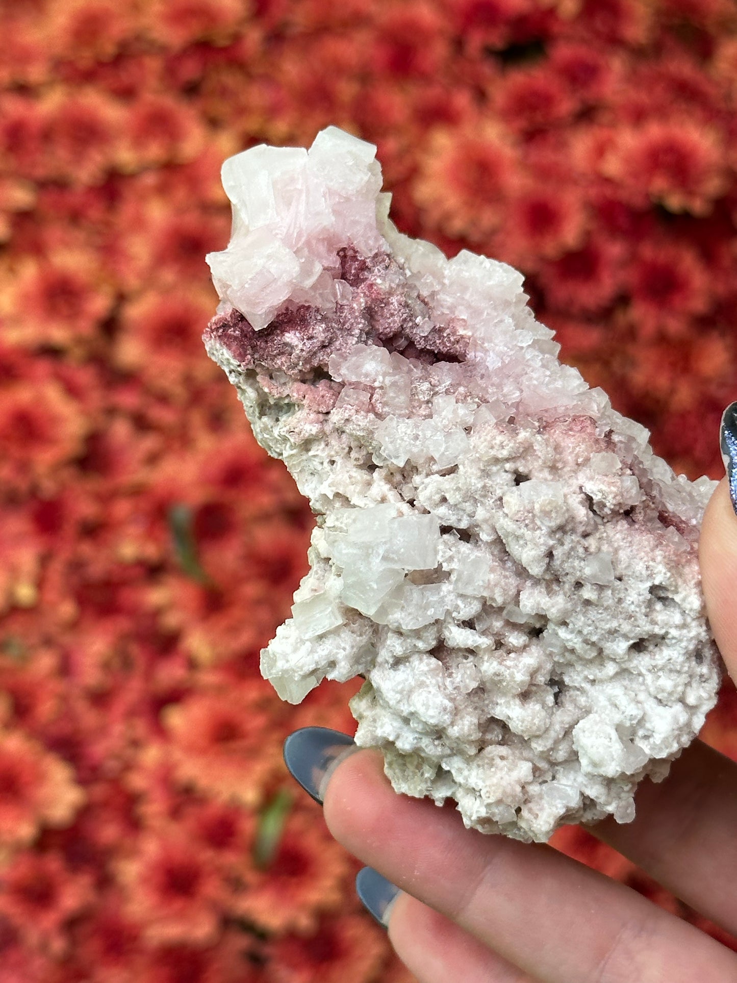 Pink Halite