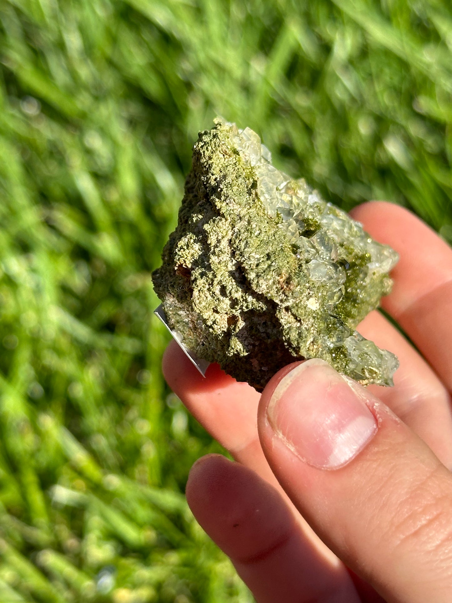 Forest epidote