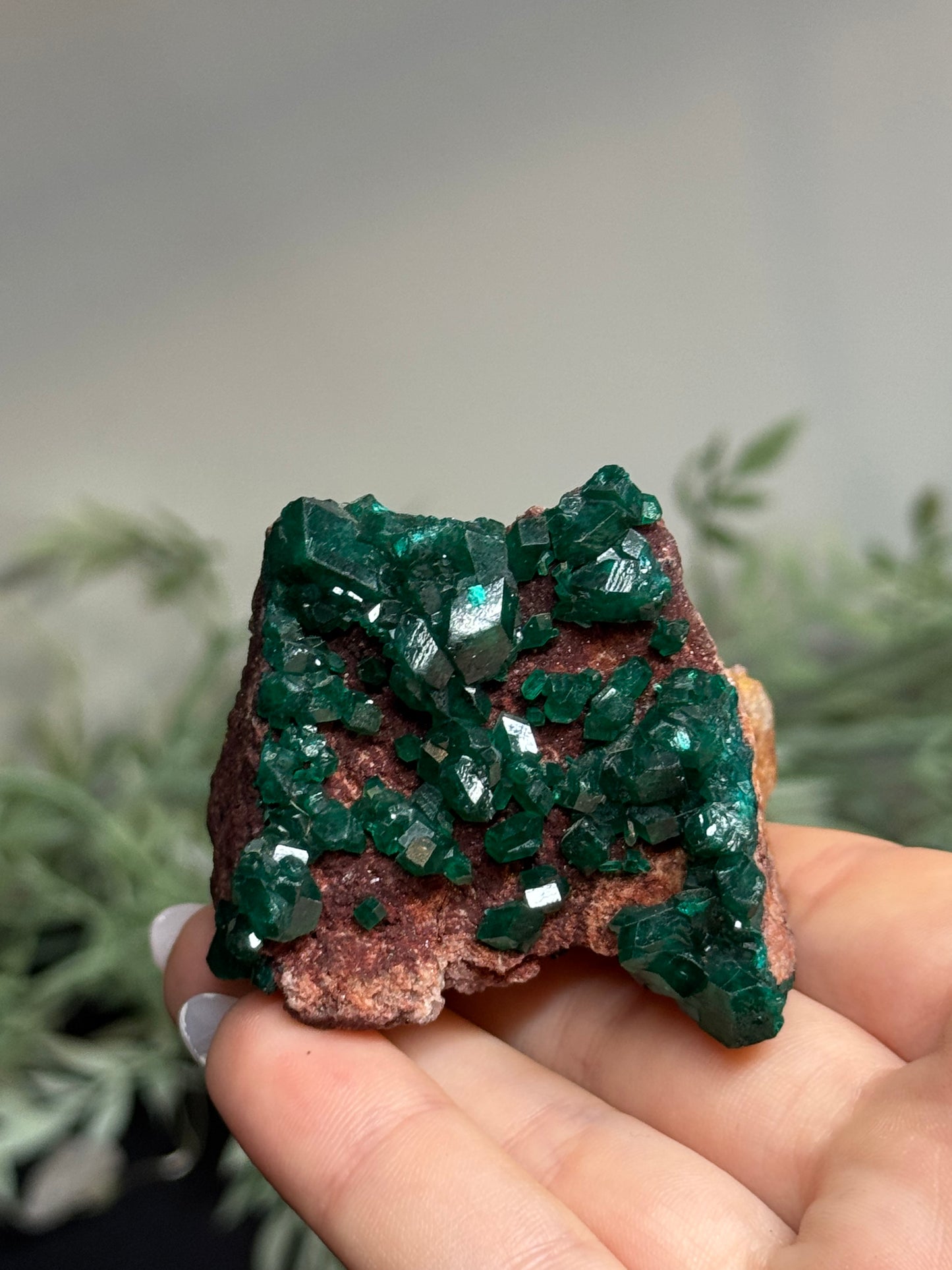 Dioptase