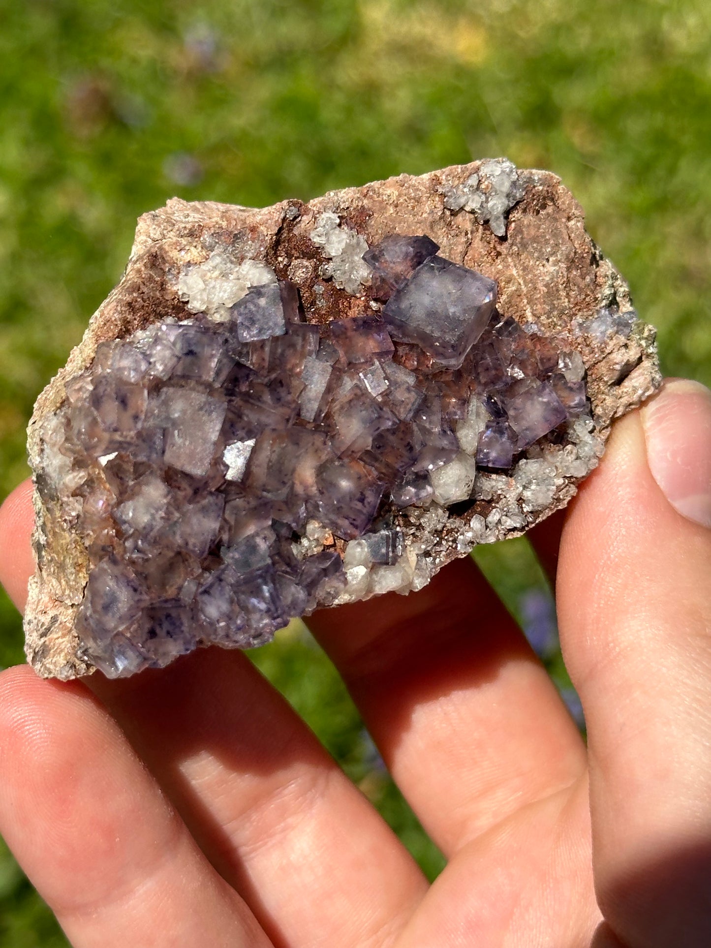 Colorado fluorite