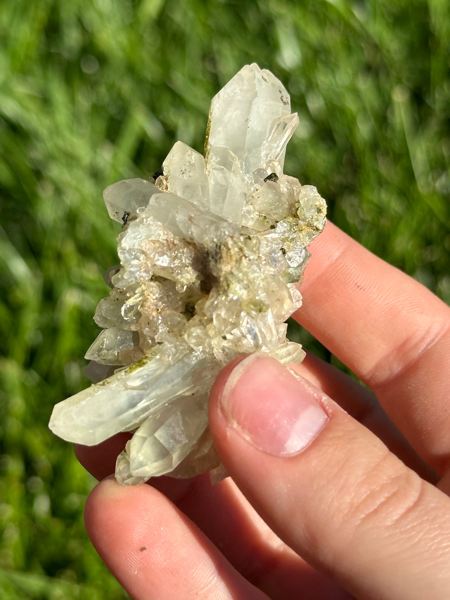 Epidote and Quartz