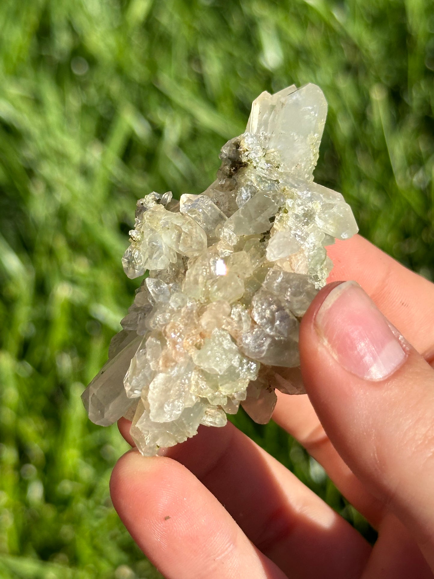 Epidote and Quartz