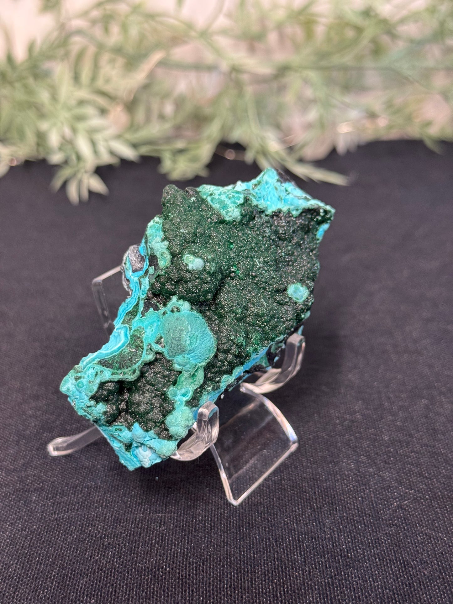 Malachite, Chrysocholla - Zaire