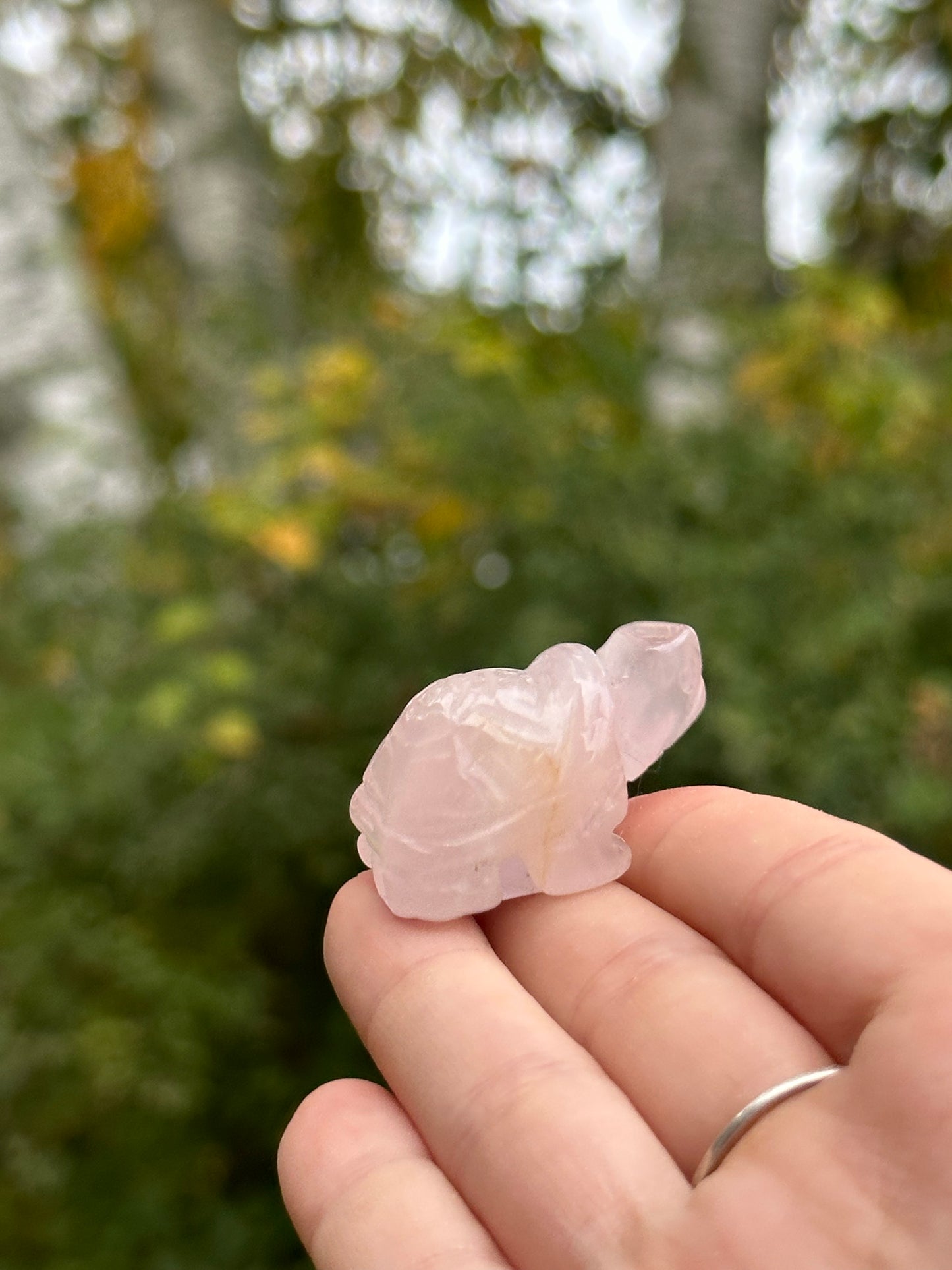 Rose Quartz Mini Turtle