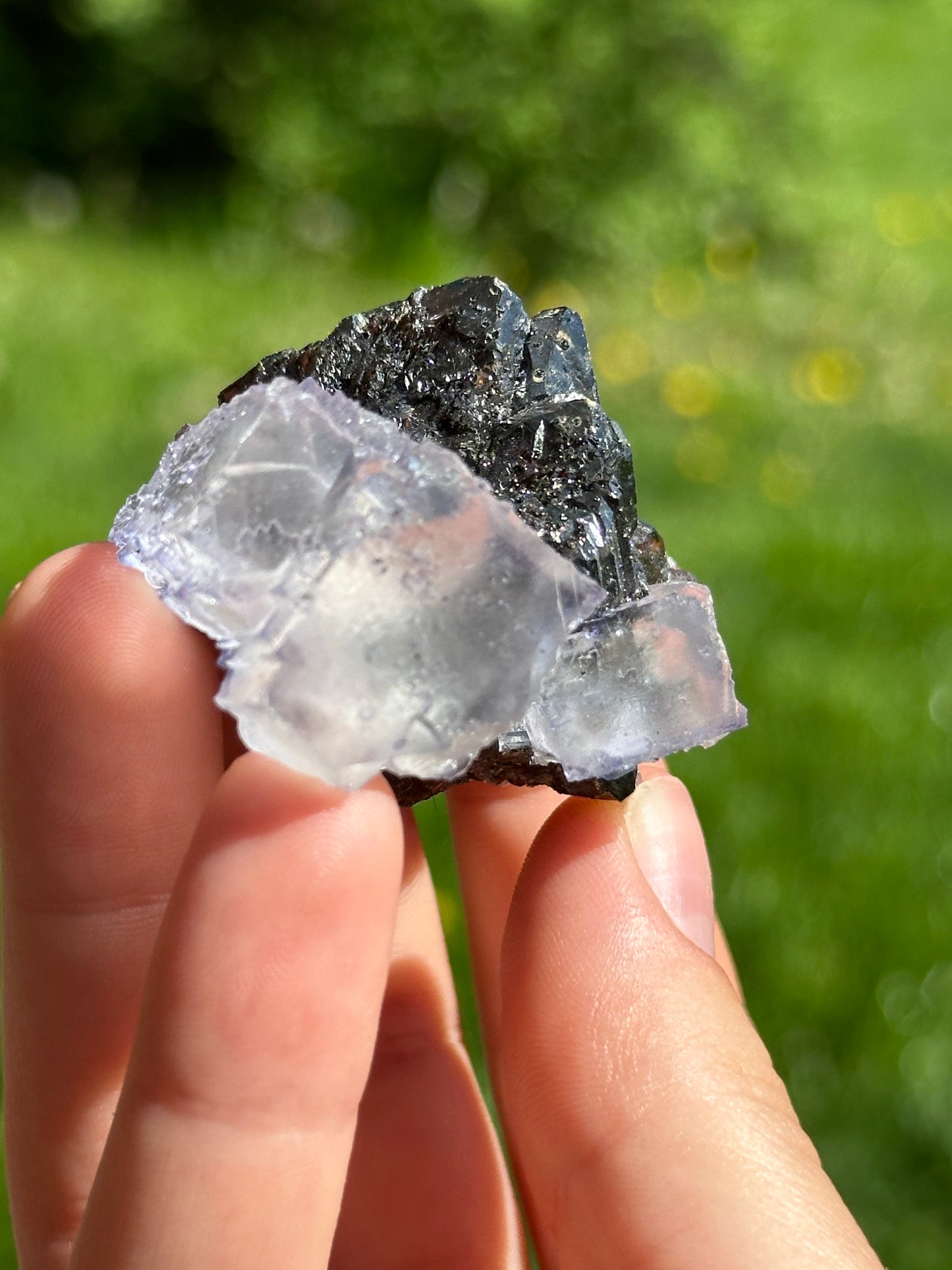 Elmwood fluorite on sphalerite