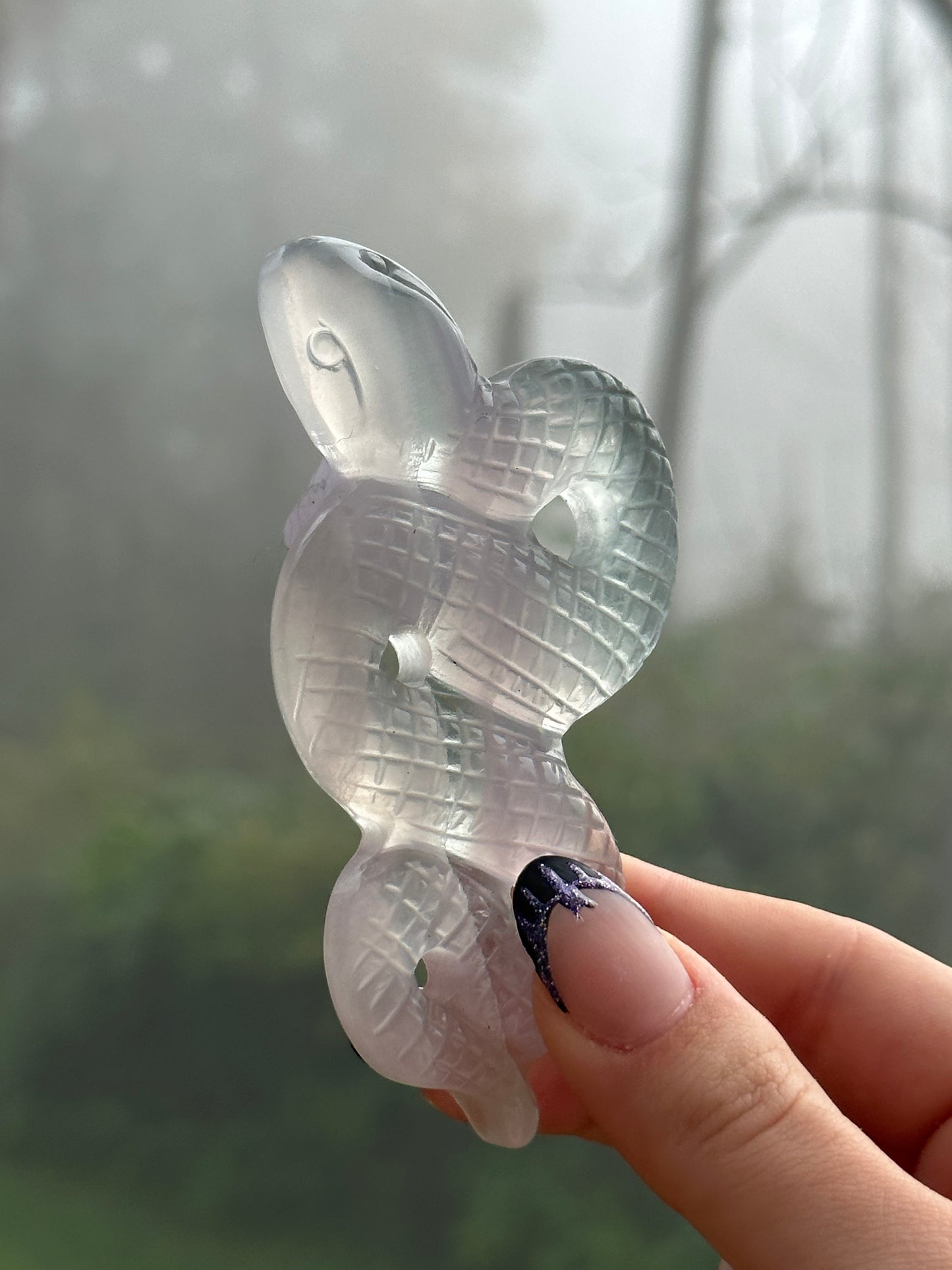 Fluorite Snake