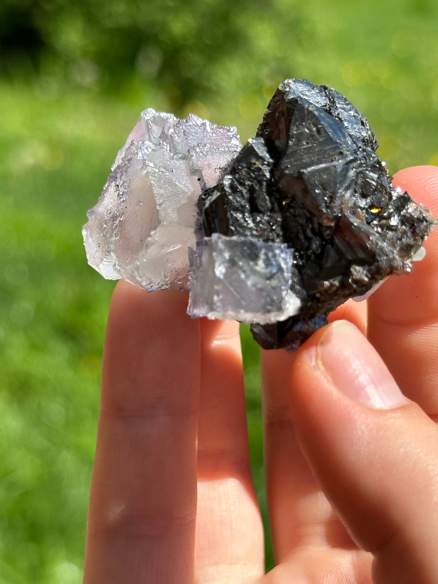 Elmwood fluorite on sphalerite