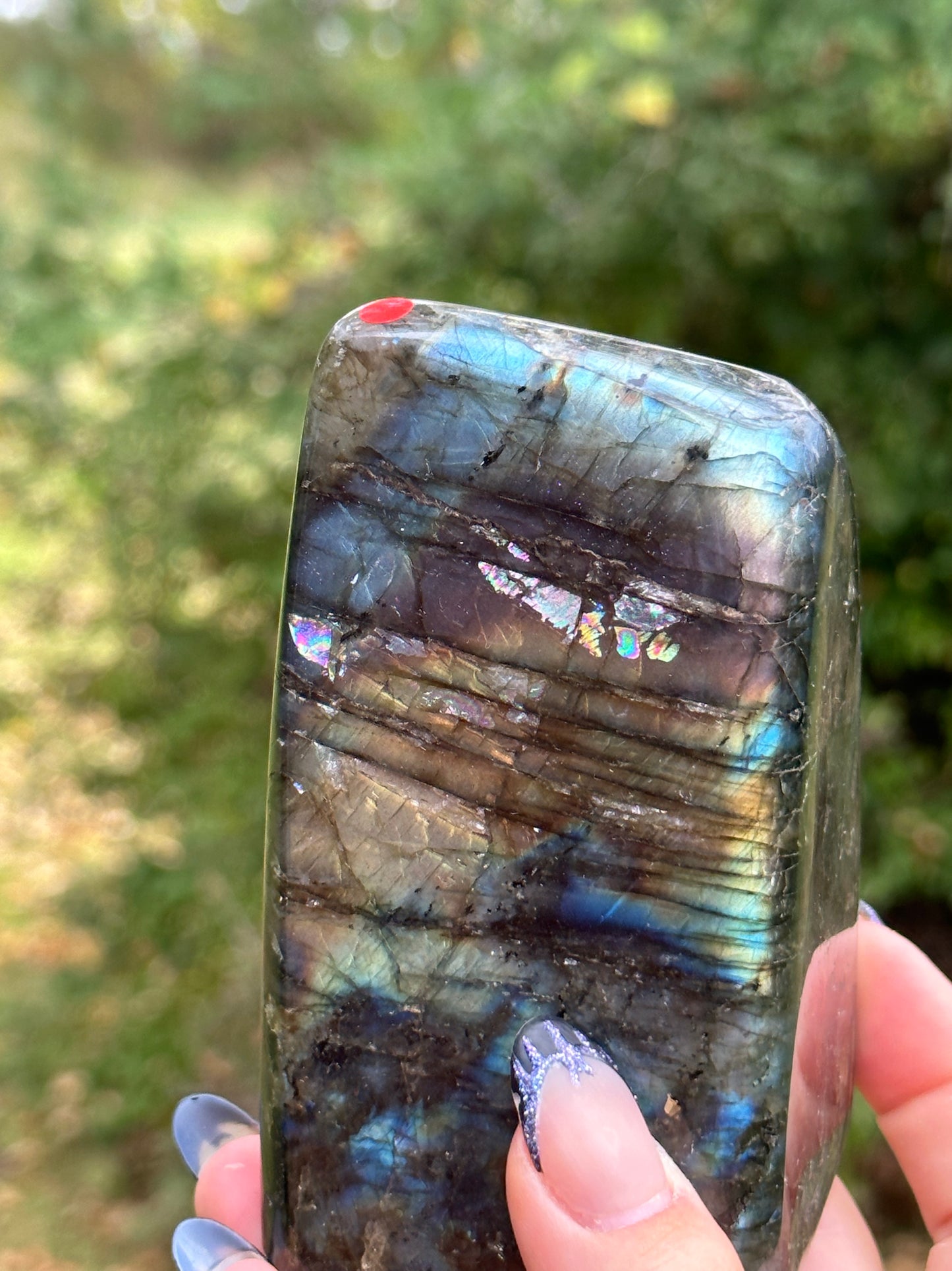Labradorite Freeform