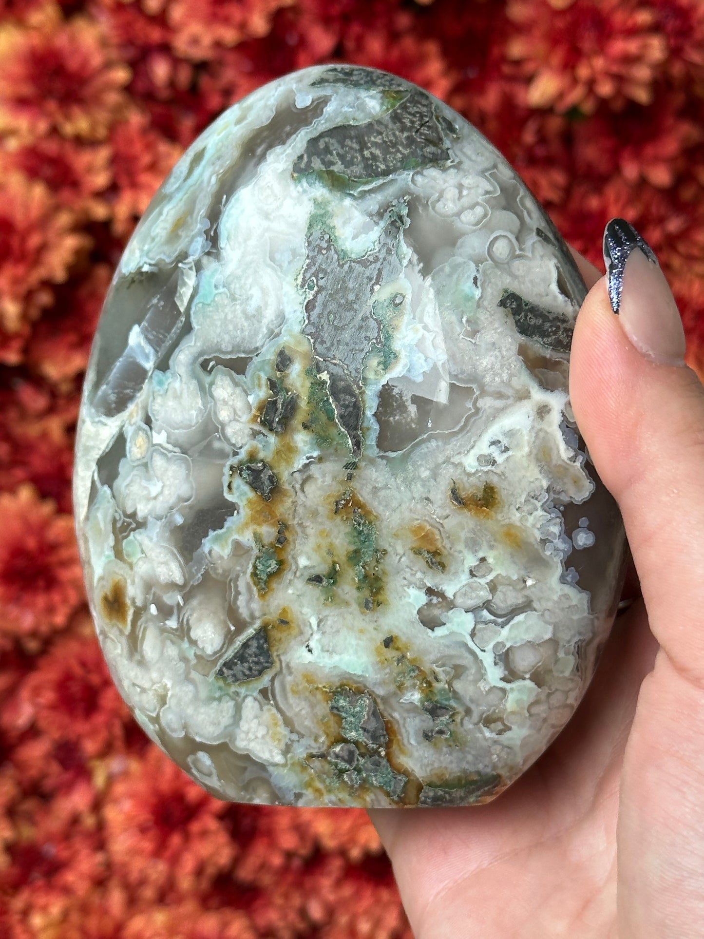 Black Flower Agate Freeform